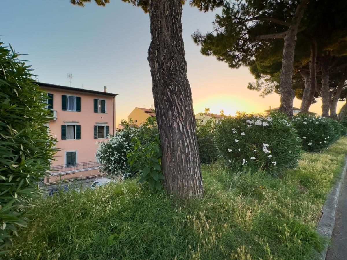 La Casa Di Eli Appartamenti Pisa Exterior foto